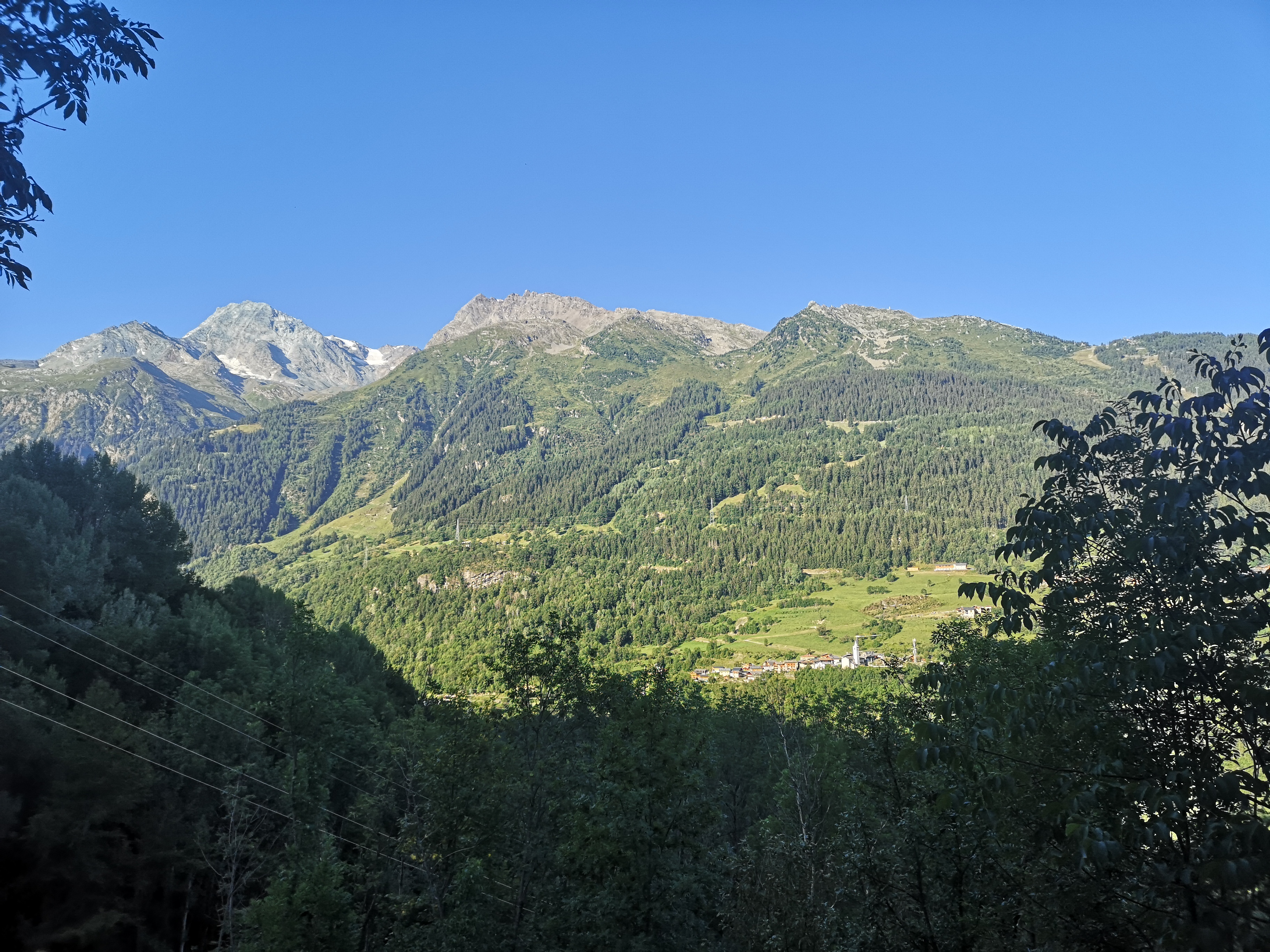 IMG_20260724_081630.jpg