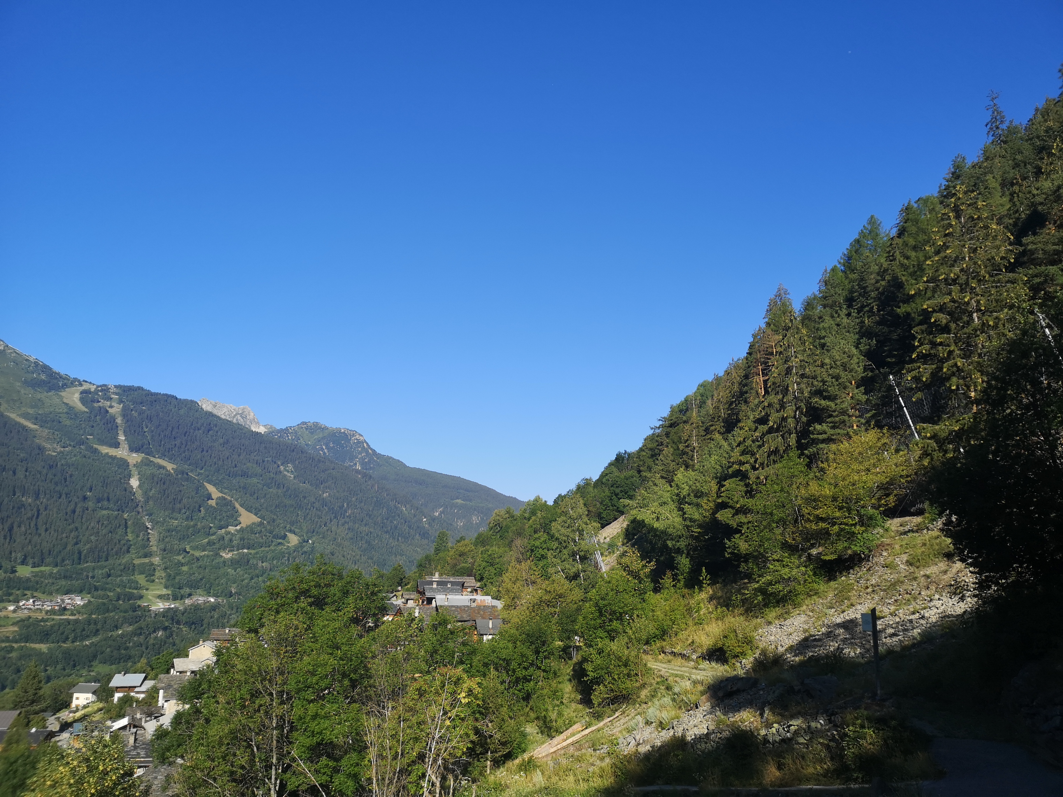 IMG_20260724_083947.jpg