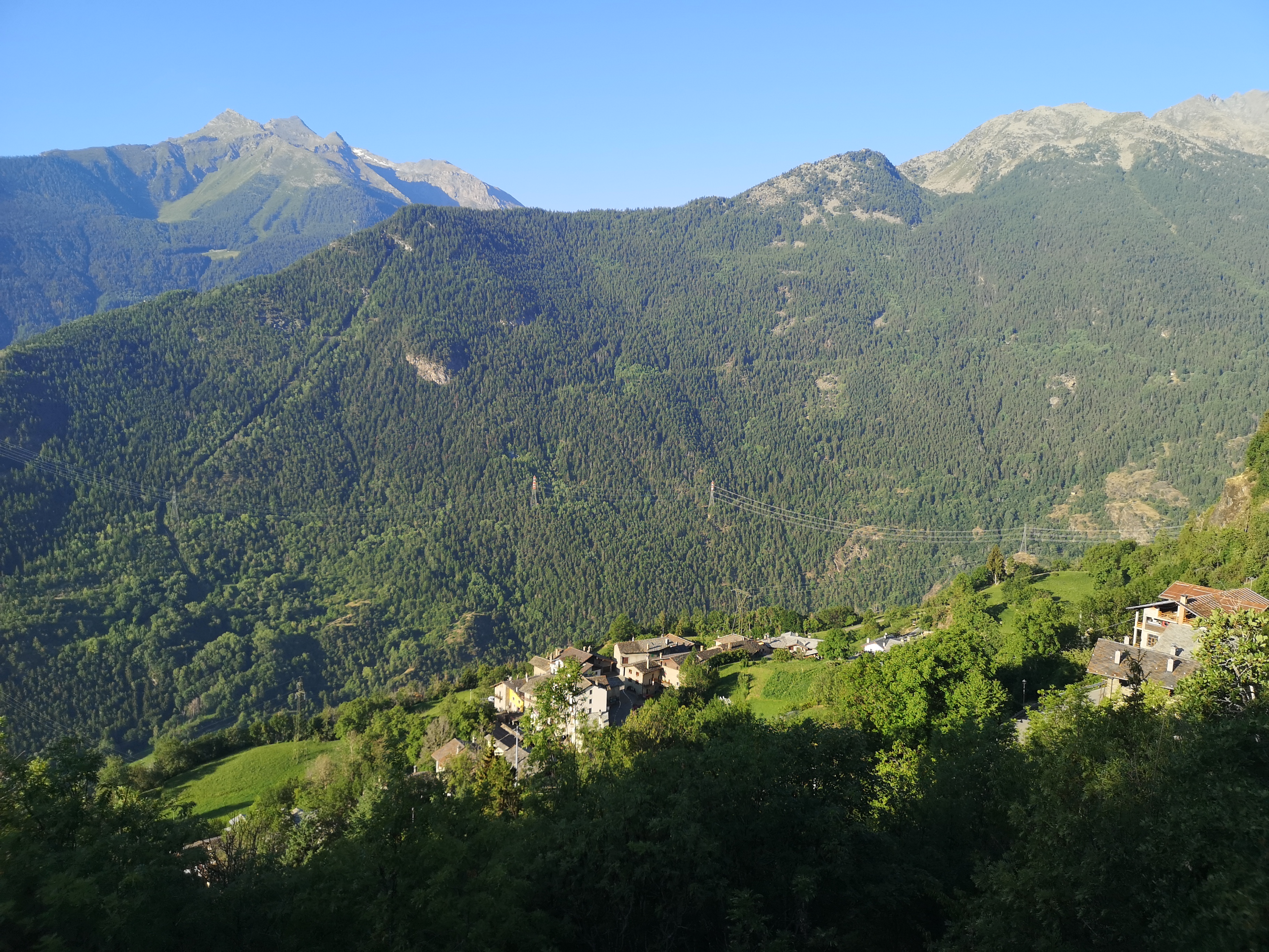 IMG_20260727_075850.jpg