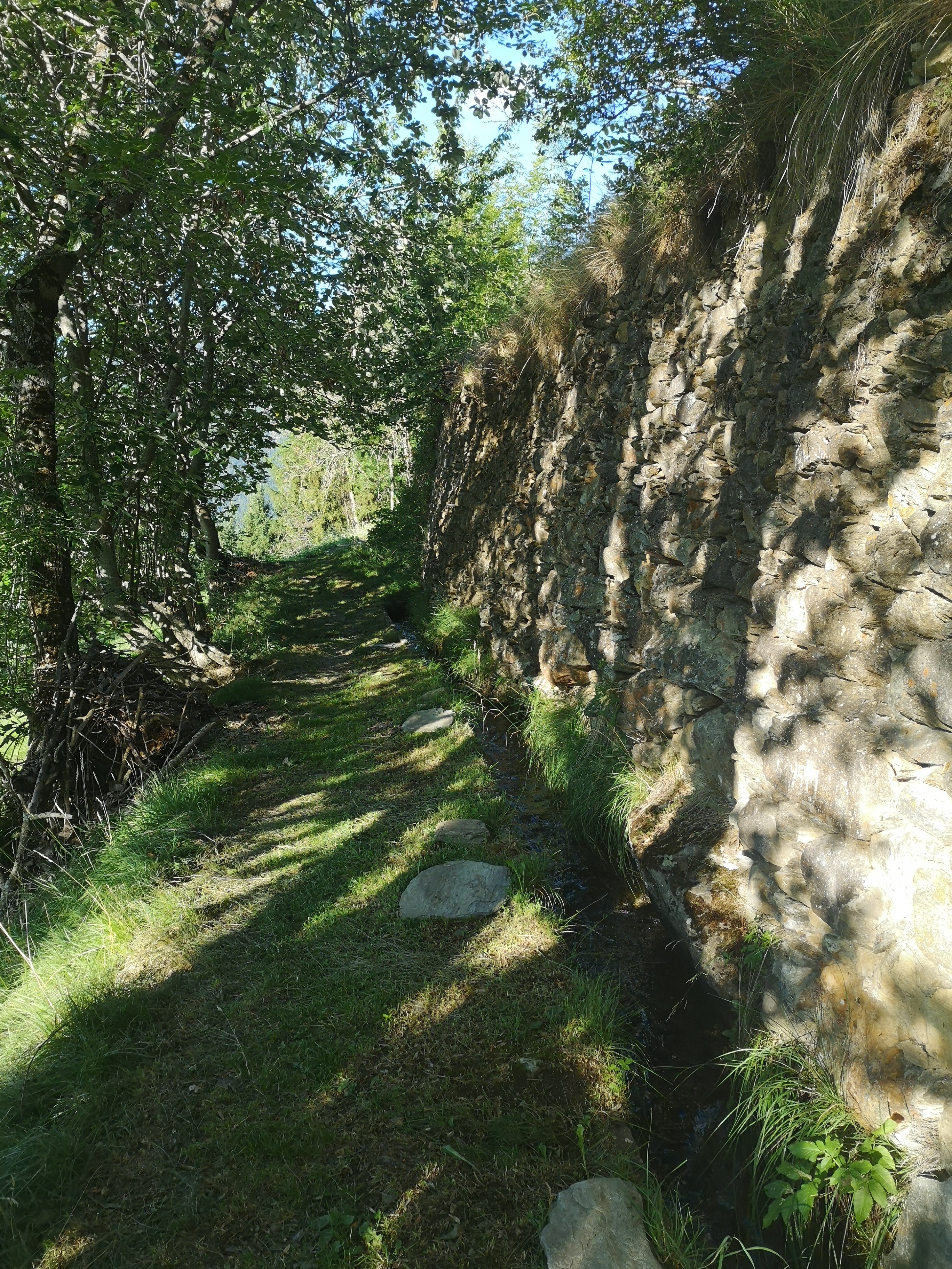 IMG_20260727_081507.jpg