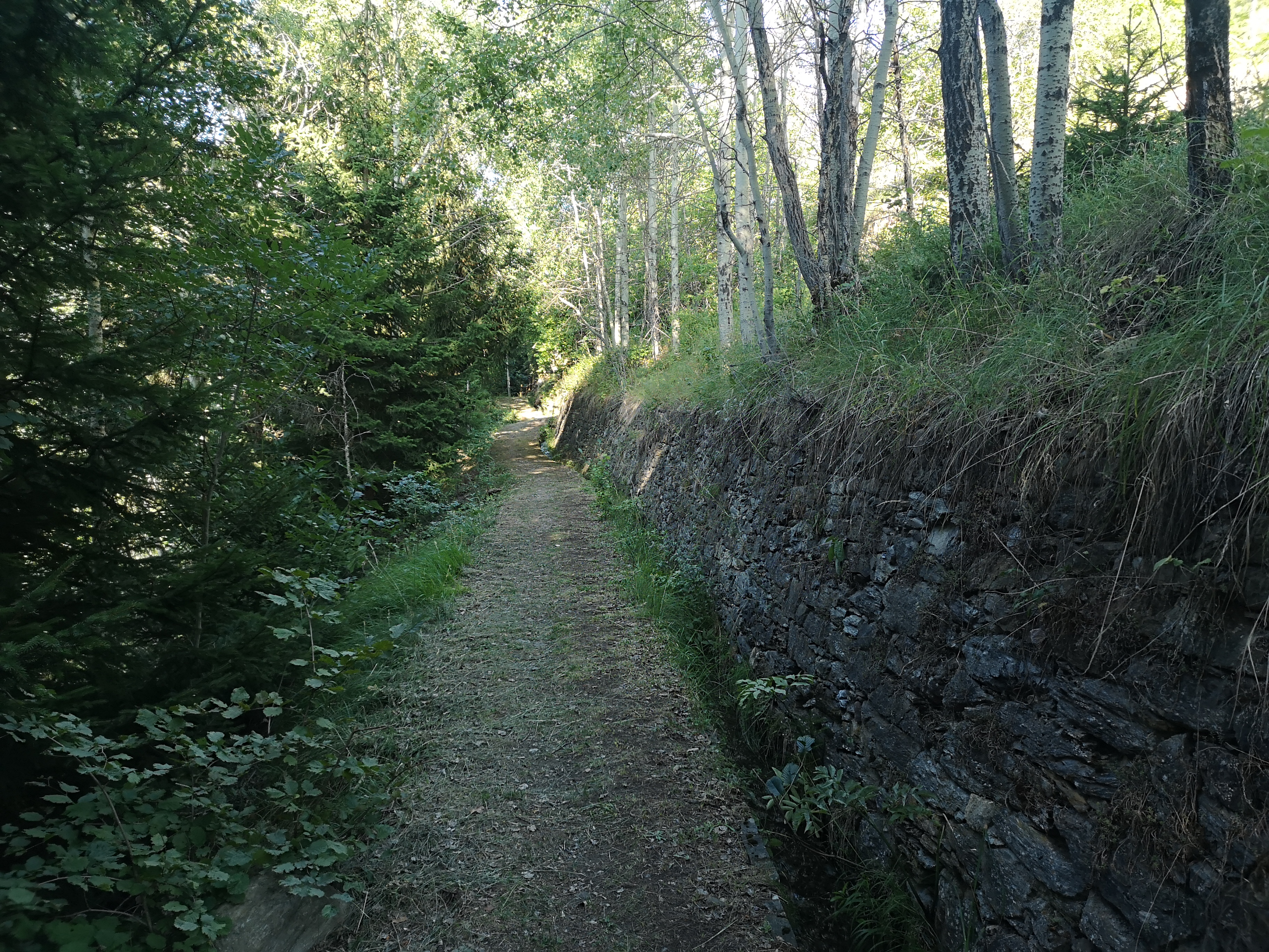 IMG_20260727_082329.jpg