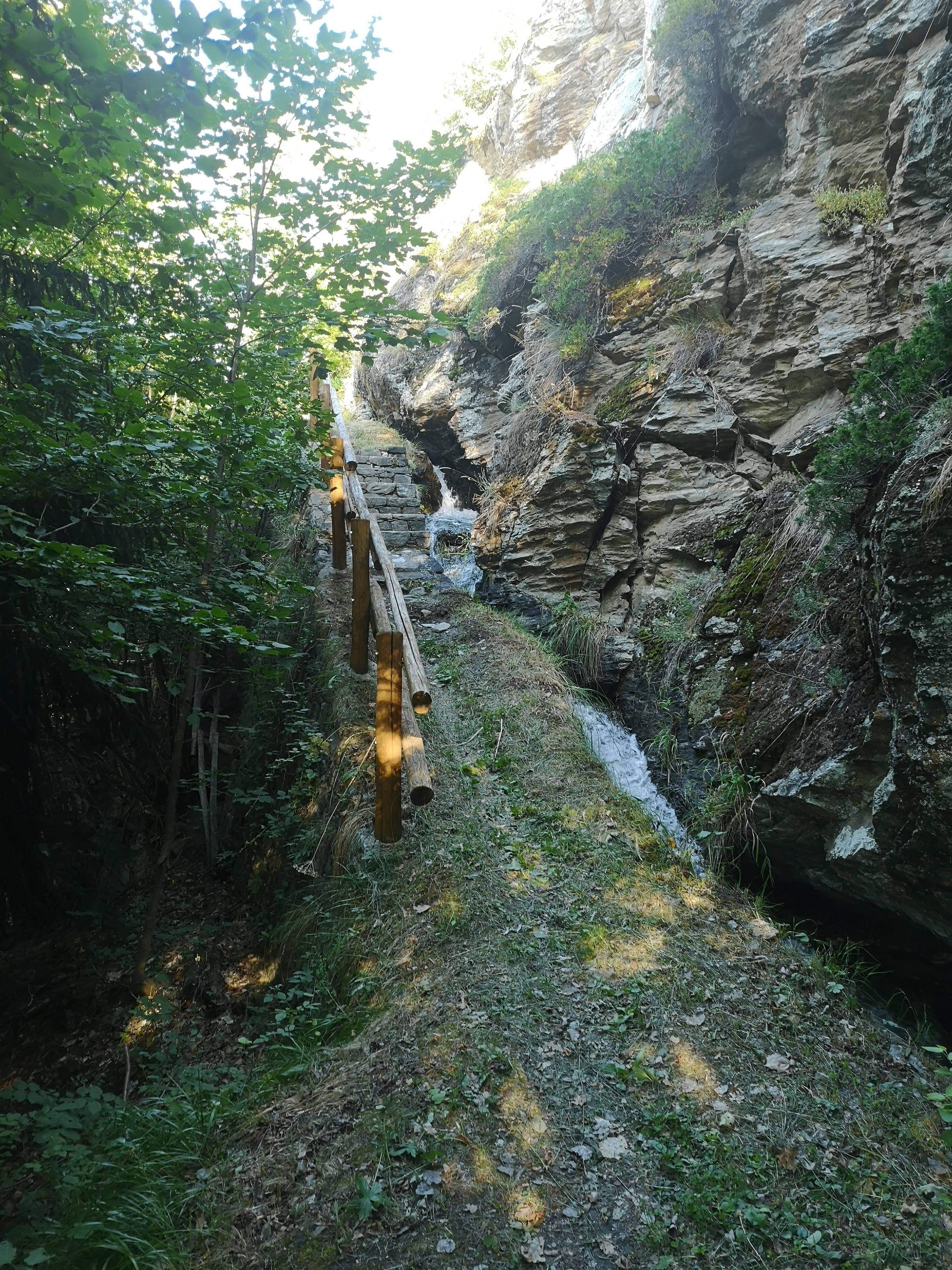 IMG_20260727_082723.jpg