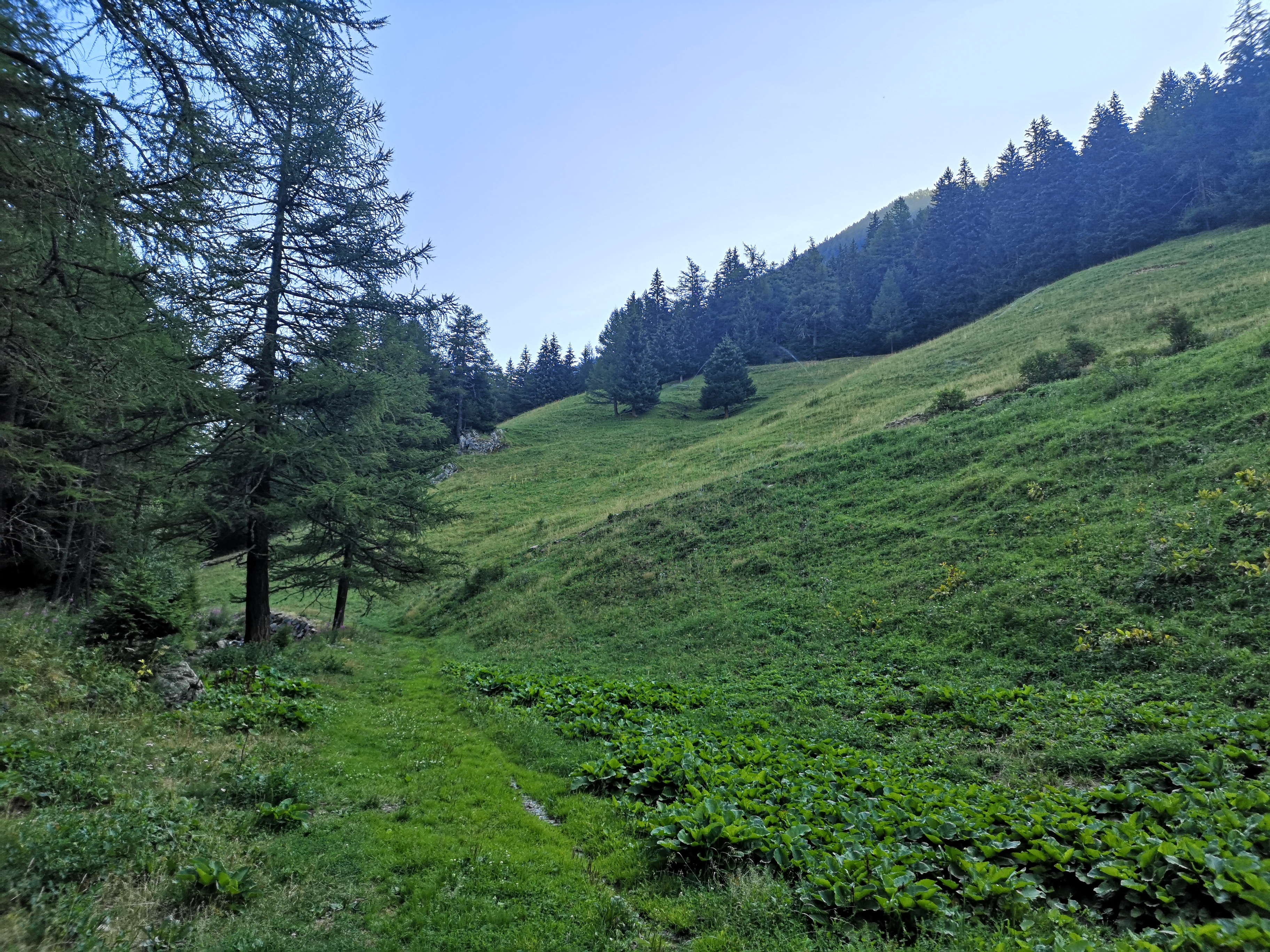 IMG_20260727_090016.jpg