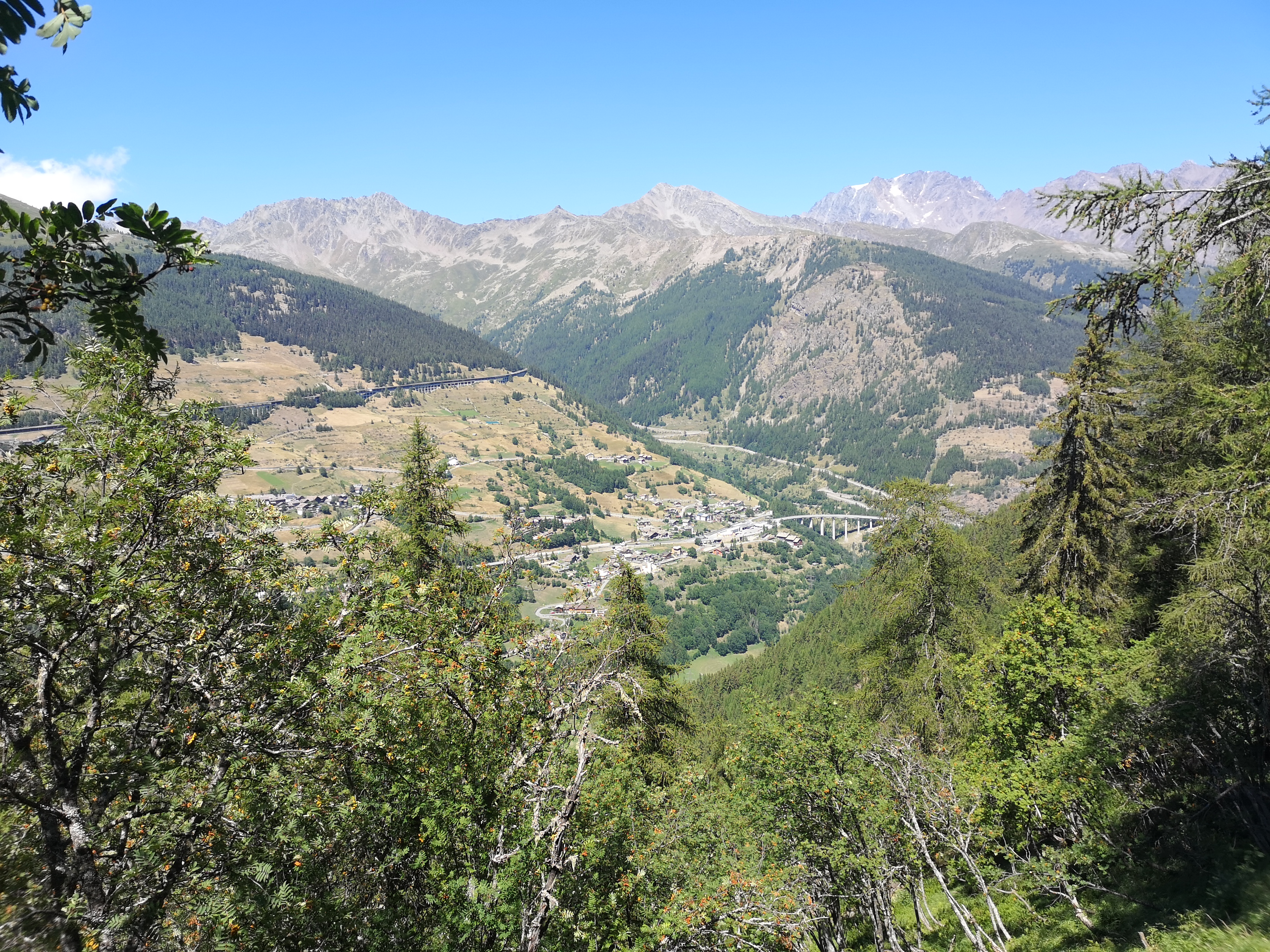 IMG_20260727_144119.jpg