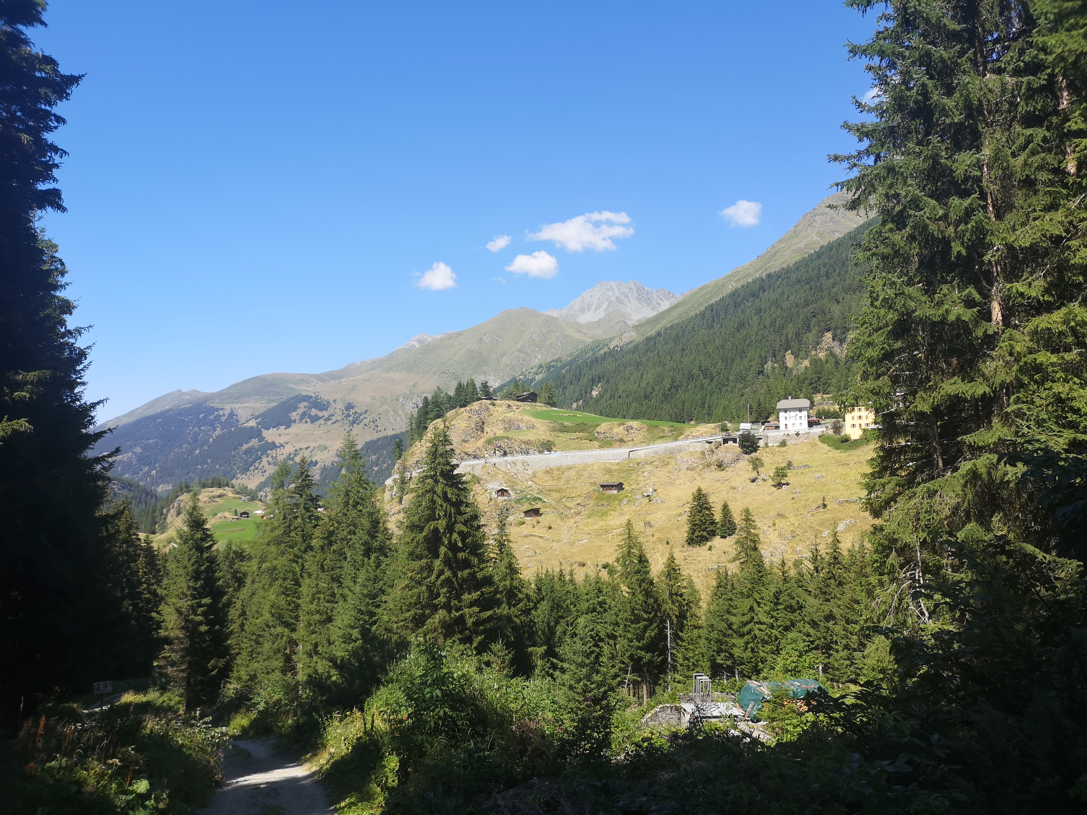 IMG_20260728_153855.jpg