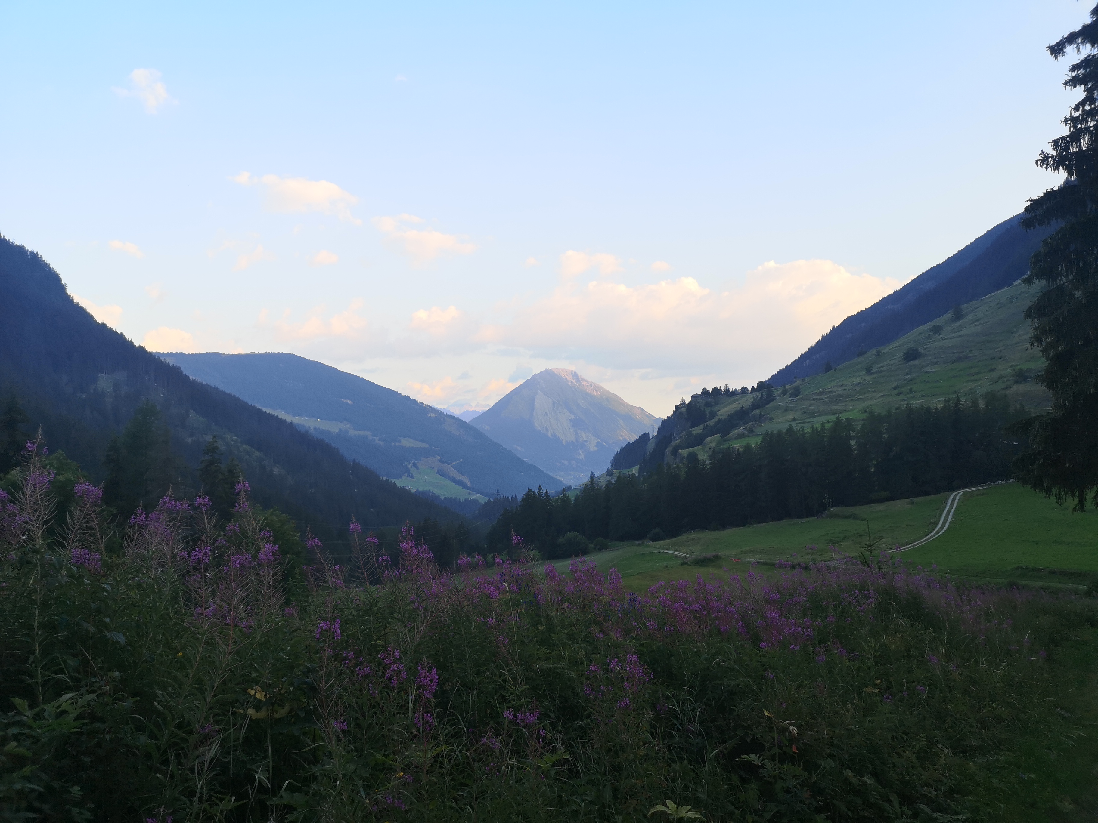 IMG_20260729_065207.jpg
