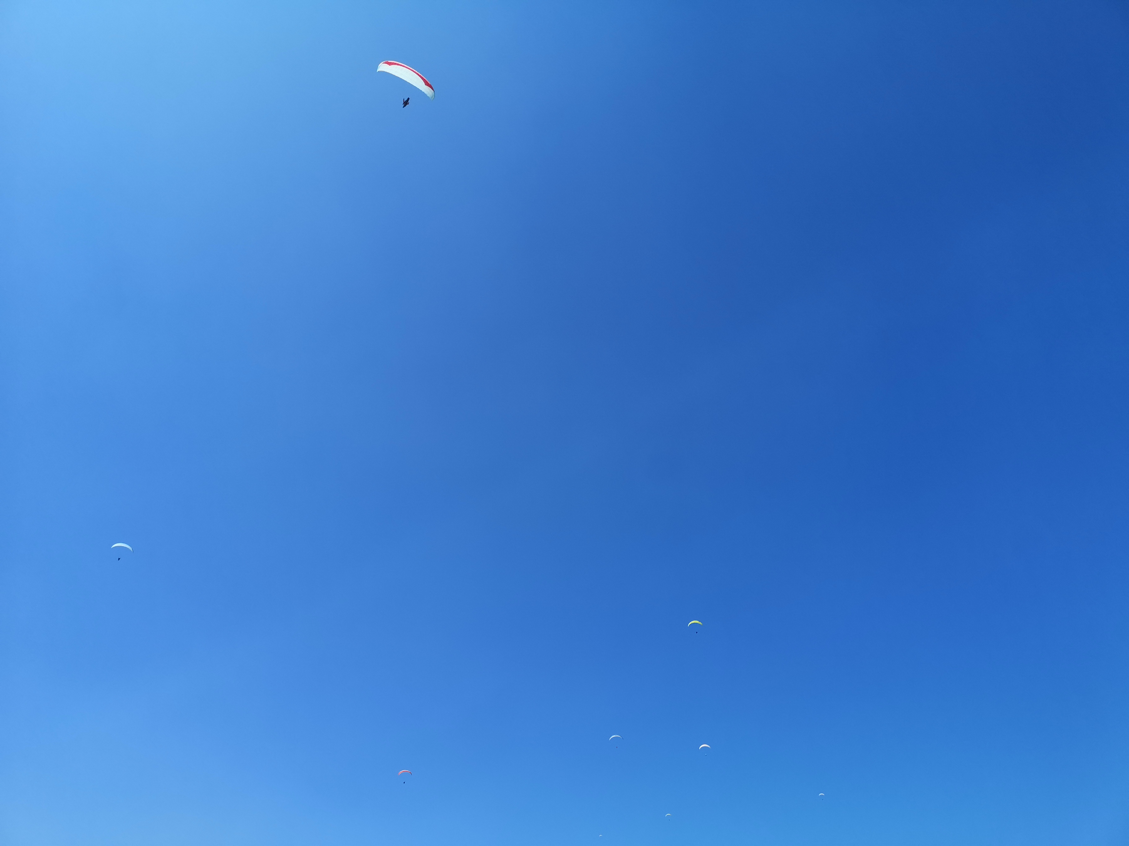 IMG_20260730_125316.jpg