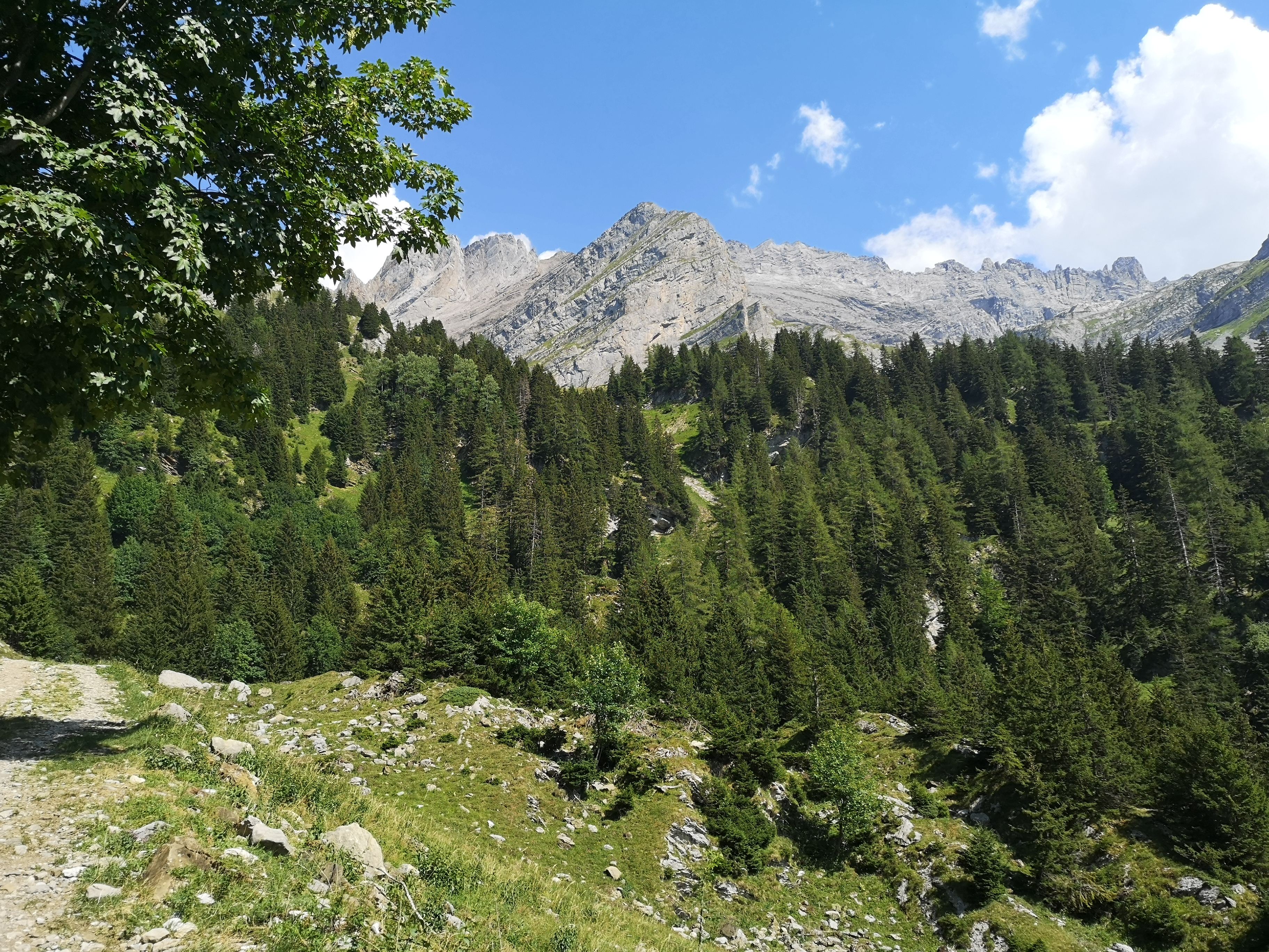 IMG_20260802_160004.jpg