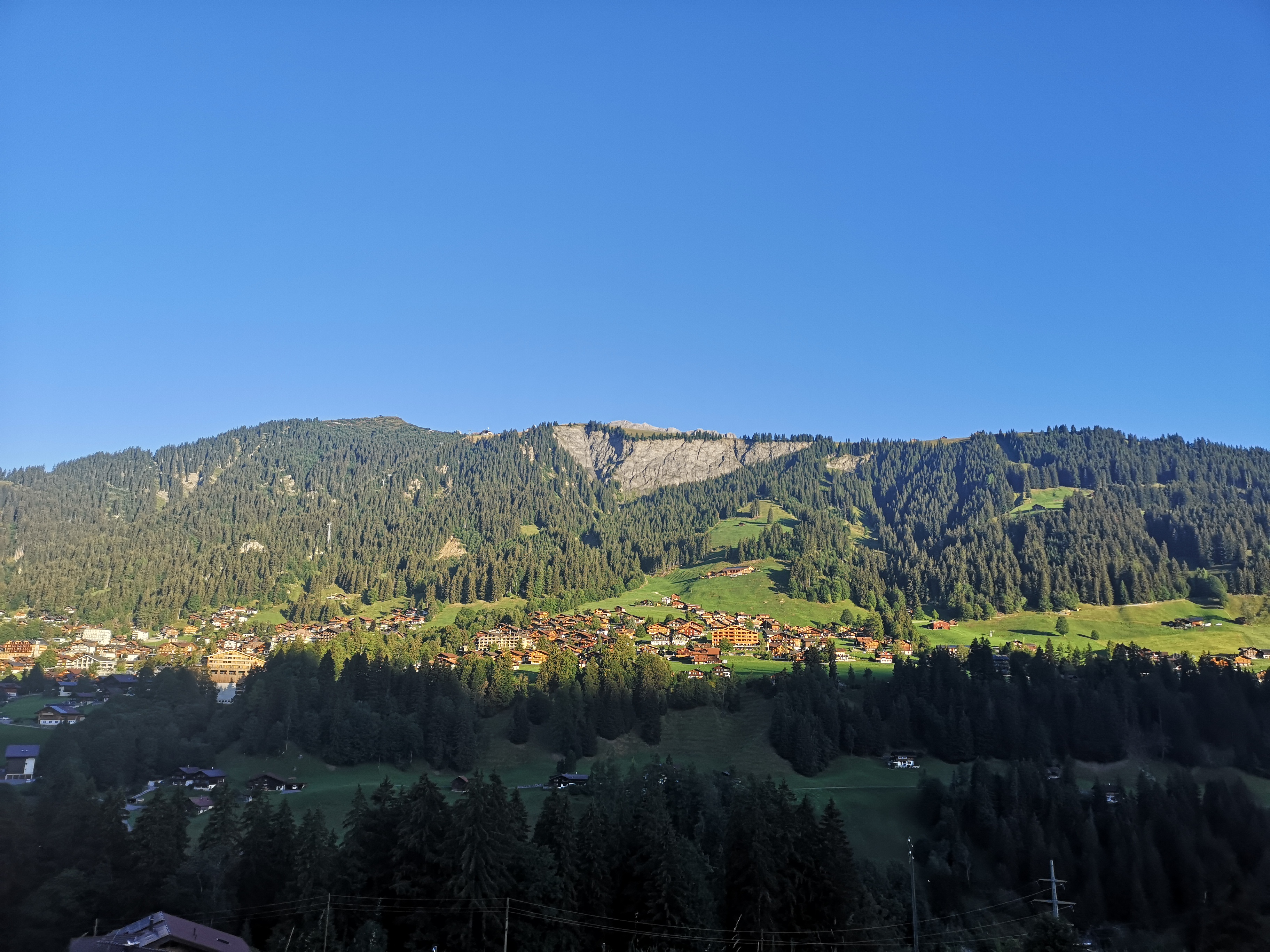 IMG_20260807_073023.jpg
