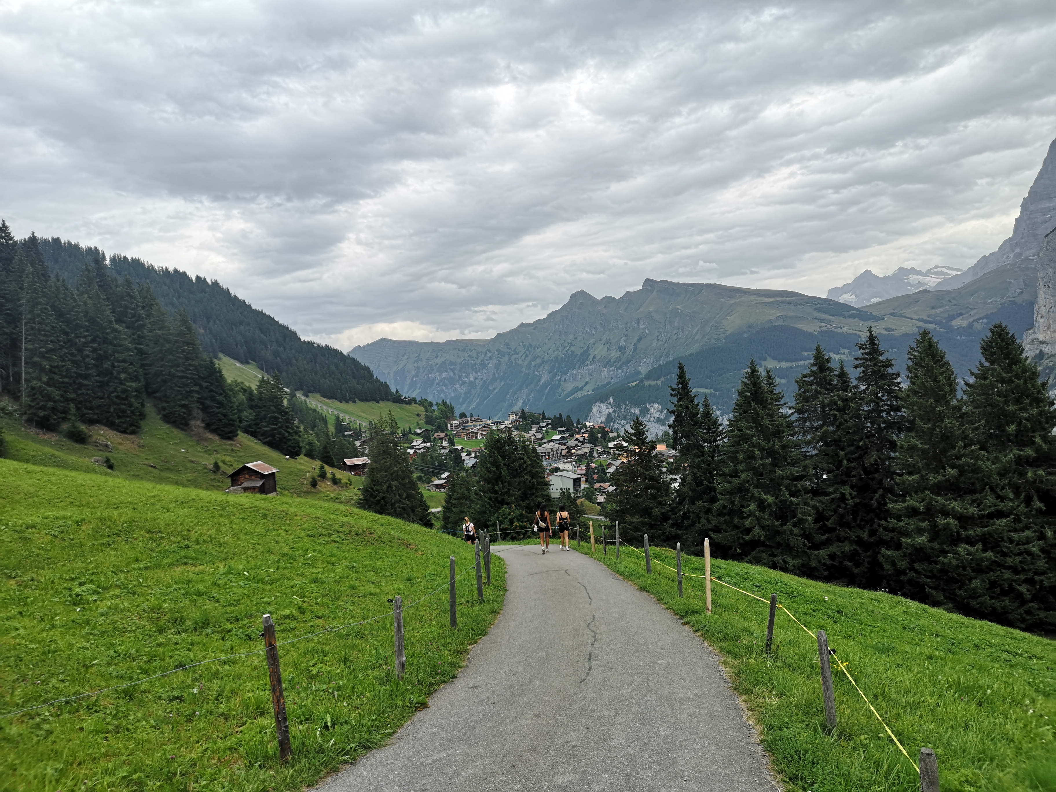 IMG_20260809_145456.jpg