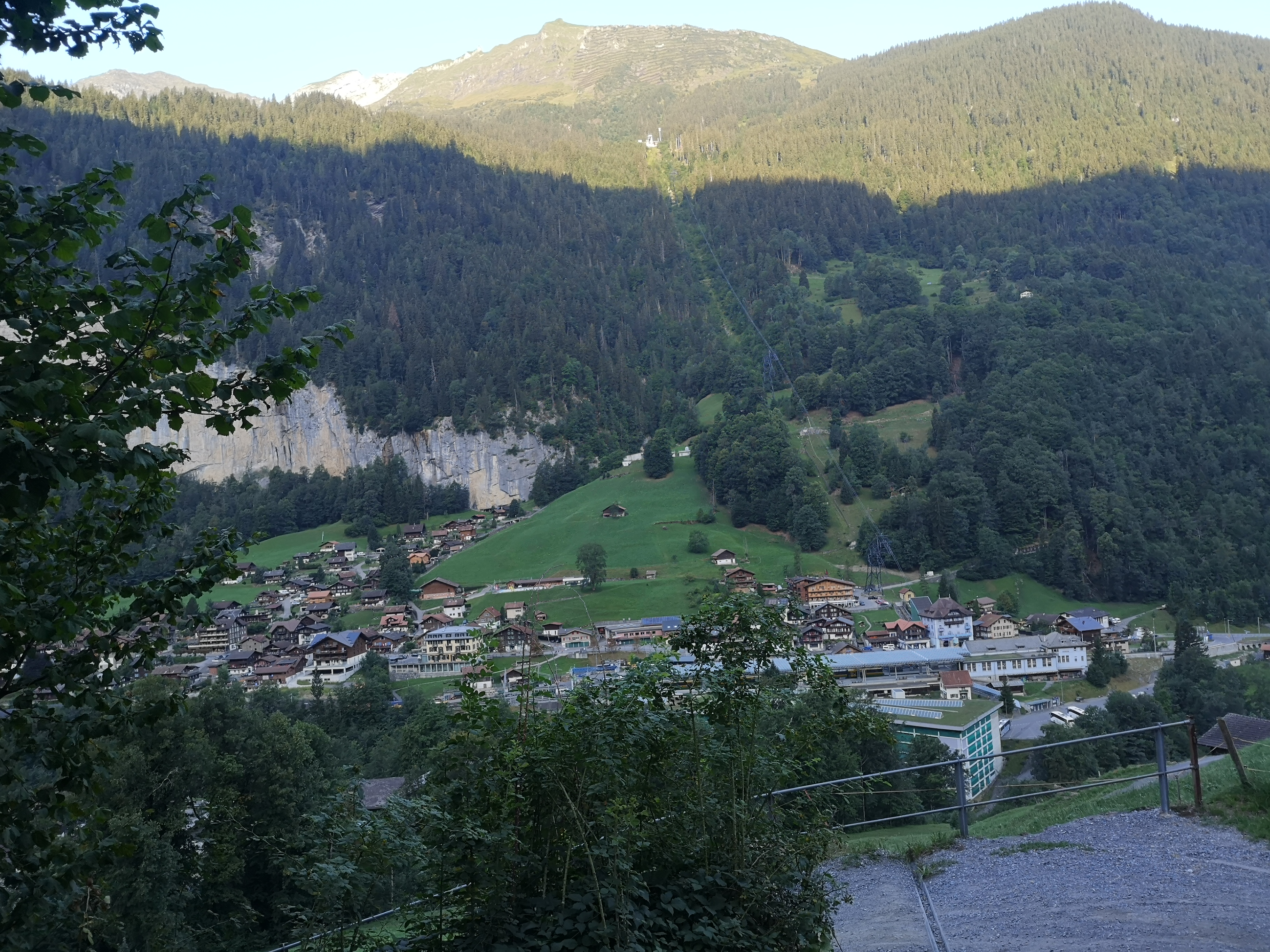 IMG_20260810_075919.jpg