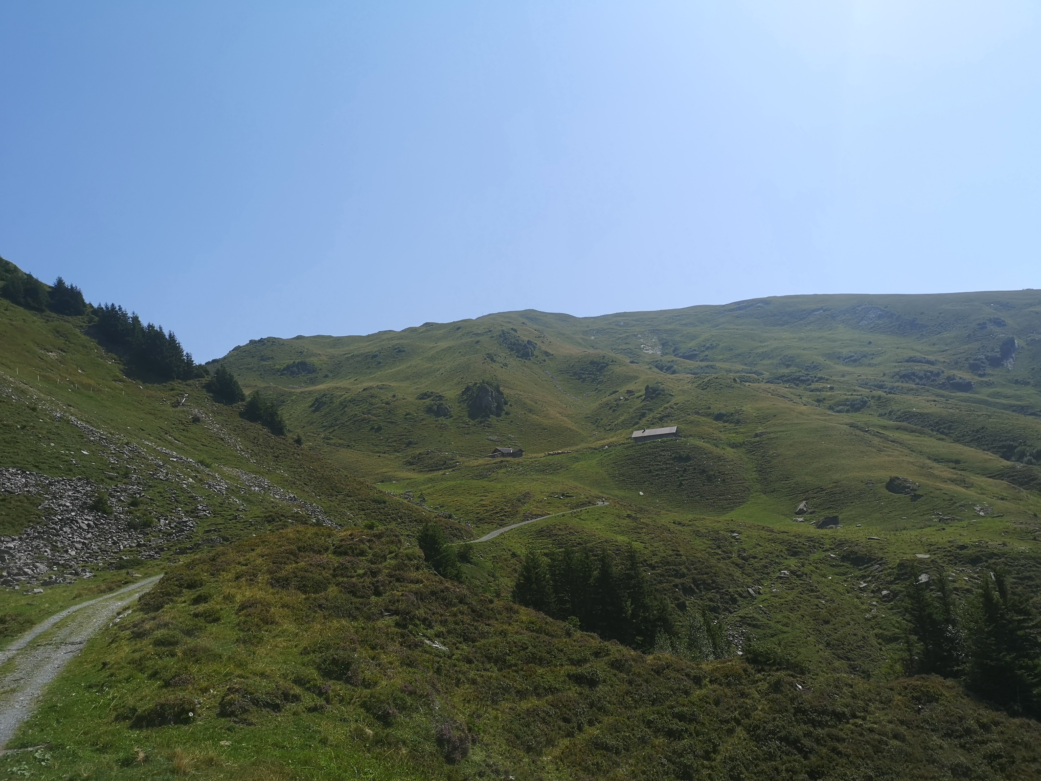 IMG_20260812_121820.jpg
